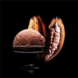 Bac 500ml. Crème glacée Chocolat Noir de Tanzanie