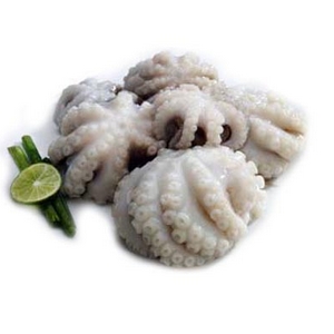 Poulpe baby octopus 30-50 pcs